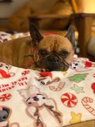 French Bulldog Love Christmas Cookies Fleece Blanket Review
