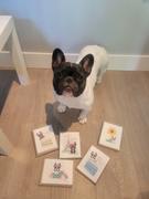 French Bulldog Love Birthday Cake Note Card Set - Box of 12 or 24 Review