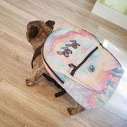 French Bulldog Love Tie Dye Backpack - 2 Frenchies - by French Bulldog Love - CLASSIC Review