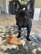 French Bulldog Love Ice Cream Toy by ZippyPaws Review