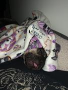 French Bulldog Love Halloween Treats Fleece Blanket Review