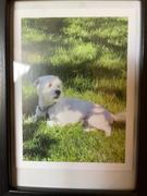 FoxPrint 3x4 Classic Prints Review