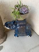 My Backyard Decor Porcelain Elephant Stool/Side Table Review