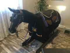Equicizer Equicizer Elite Review