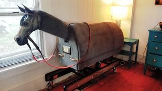 Equicizer Equicizer Elite Review