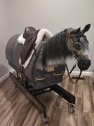 Equicizer Equicizer Elite Review