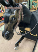 Equicizer Equicizer Elite Review