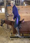 Equicizer Equicizer Classic Review