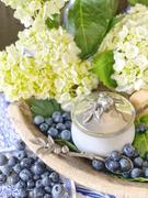 Vagabond House Blueberry Sugar Bowl and Spoon Review