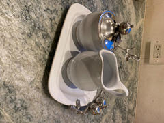 Vagabond House Pomegranate Creamer Set Review