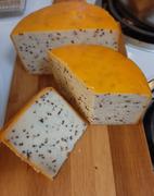 New England Cheesemaking Supply Company Mustard and Ale Cheese Making Recipe Review