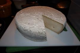 New England Cheesemaking Supply Company Mycodore Review