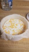 New England Cheesemaking Supply Company Home Cheese Making Review