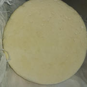 New England Cheesemaking Supply Company Propionic Shermanii (Swiss) Review