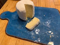 New England Cheesemaking Supply Company Geotrichum Candidum (GEO15) Review