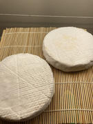 New England Cheesemaking Supply Company Penicillium Candidum (ABL) Review