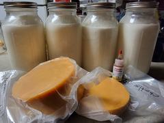 New England Cheesemaking Supply Company Cheese Coloring Review