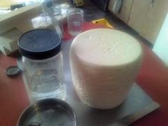 New England Cheesemaking Supply Company Large Cheese Trier Review