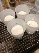 New England Cheesemaking Supply Company Goat Cheese Kit Review