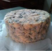 New England Cheesemaking Supply Company Blue Cheese Mold Review