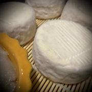 New England Cheesemaking Supply Company Saint Marcellin Cheese Mold Review