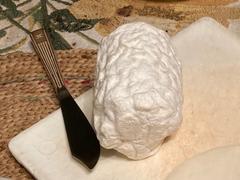 New England Cheesemaking Supply Company Crottin Cheese Mold Review