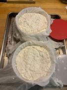 New England Cheesemaking Supply Company Soft Cheese Mold (0.5 lbs) Review