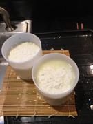 New England Cheesemaking Supply Company Camembert Cheese Mold Review