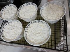 New England Cheesemaking Supply Company MA 11 Mesophilic Starter Culture Review