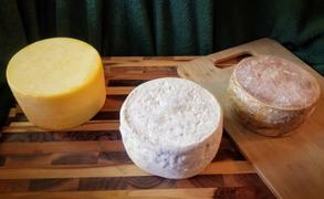 New England Cheesemaking Supply Company MD 88 Mesophilic Starter Culture Review
