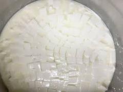 New England Cheesemaking Supply Company Tablet Vegetable Rennet Review