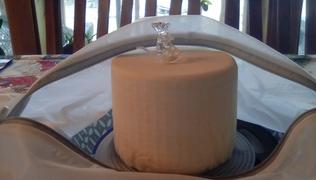 New England Cheesemaking Supply Company TA 61 Thermophilic Starter Culture Review