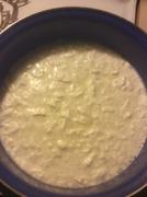 New England Cheesemaking Supply Company Cottage Cheese Recipe Review