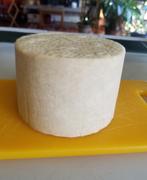New England Cheesemaking Supply Company Beer Infused Cheese Recipe Review