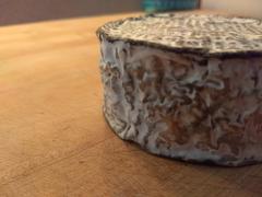 New England Cheesemaking Supply Company CamBlu Recipe Review