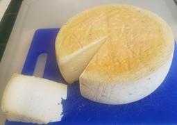 New England Cheesemaking Supply Company Esrom Cheese Making Recipe Review