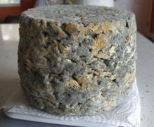 New England Cheesemaking Supply Company Fourme d'Ambert Cheese Making Recipe Review