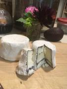 New England Cheesemaking Supply Company Goat Cheese Recipe with Ash Review