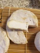 New England Cheesemaking Supply Company Crottin de Chavignol Recipe Review