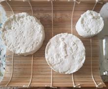 New England Cheesemaking Supply Company Crottin de Chavignol Recipe Review