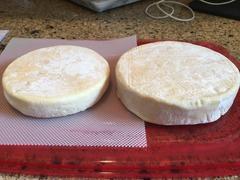 New England Cheesemaking Supply Company Munster Recipe Review