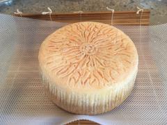 New England Cheesemaking Supply Company Canestrato Italian Basket Cheese Recipe Review