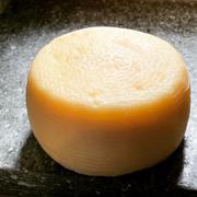 New England Cheesemaking Supply Company Manchego Cheese Making Recipe Review