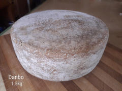 New England Cheesemaking Supply Company Danbo Cheese Making Recipe Review