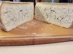 New England Cheesemaking Supply Company Gorgonzola Picante Cheese Making Recipe Review