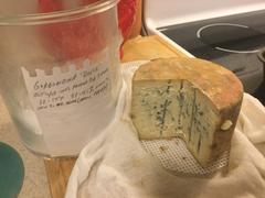 New England Cheesemaking Supply Company Gorgonzola Dolce Cheese Making Recipe Review