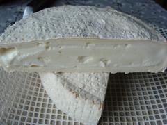 New England Cheesemaking Supply Company Camembert Recipe Stabilized Review
