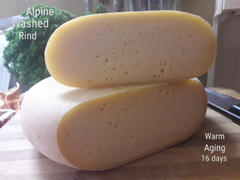 New England Cheesemaking Supply Company Alpine Washed Rind Cheese Making Recipe Review