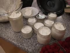 New England Cheesemaking Supply Company Petit Suisse Recipe Review
