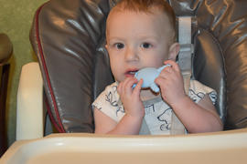  The Teething Egg The Molar Magician for the Back Teeth and Gums Review